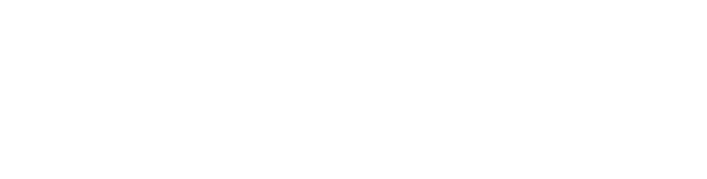 Neubauer-IT-Consulting Sekundäres Logo in weiß