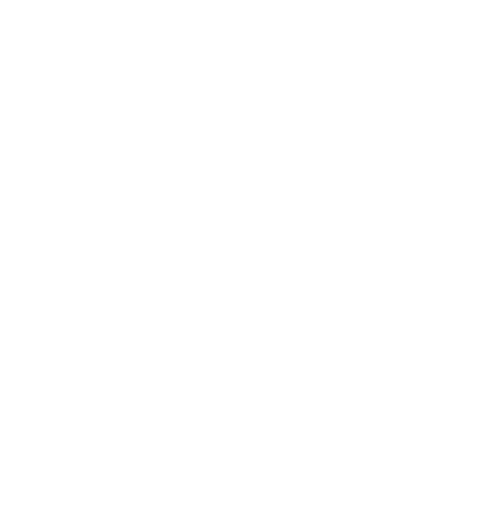 Neubauer-IT-Consulting Primäres Logo